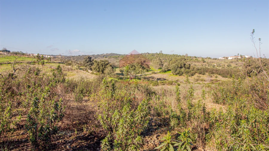Terreno Agricola ou Rústico para Venda em Alcoutim e Pereiro Foto 2