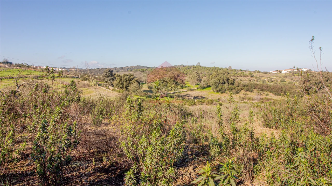 Terreno Agricola ou Rústico para Venda em Alcoutim e Pereiro Foto 2