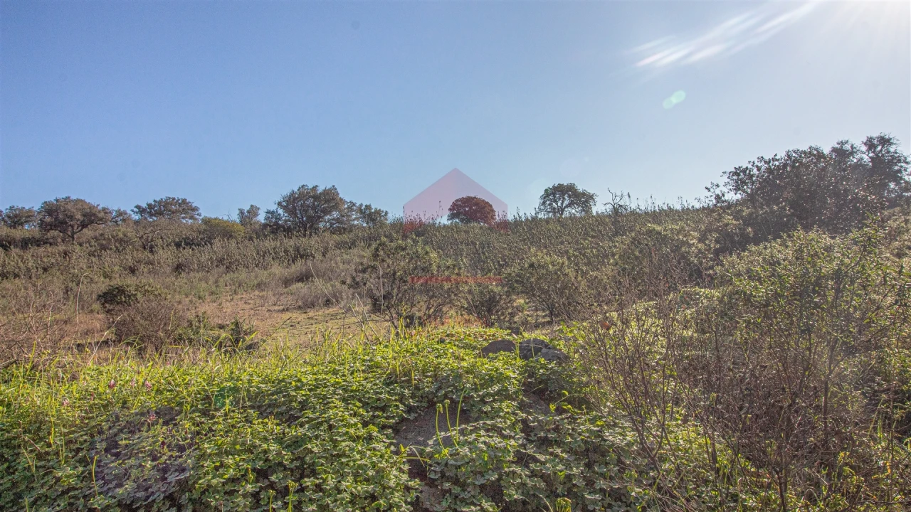 Terreno Agricola ou Rústico para Venda em Alcoutim e Pereiro Foto 7