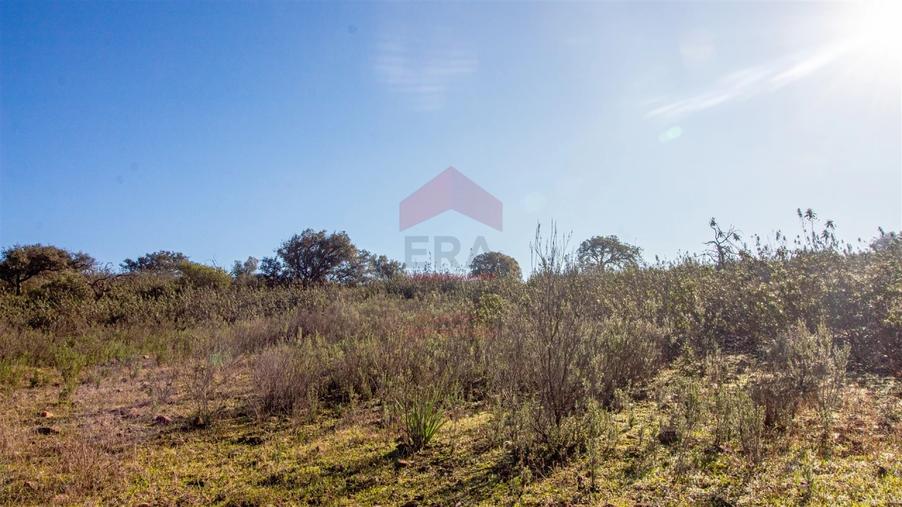 Terreno Agricola ou Rústico para Venda em Alcoutim e Pereiro Foto 8