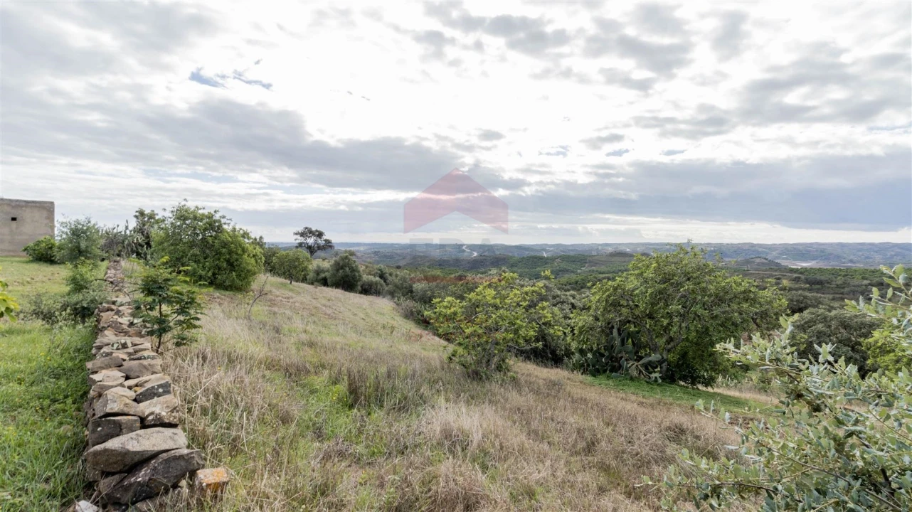 Terreno Misto para Venda em Azinhal Foto 4