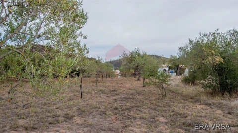 Terreno Agricola ou Rústico para Venda em Alcoutim e Pereiro