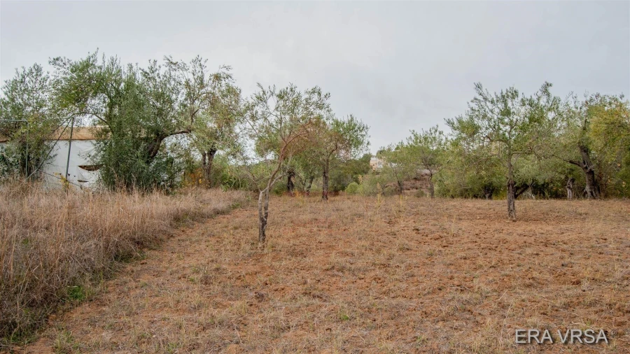 Terreno Agricola ou Rústico para Venda em Alcoutim e Pereiro Foto 4