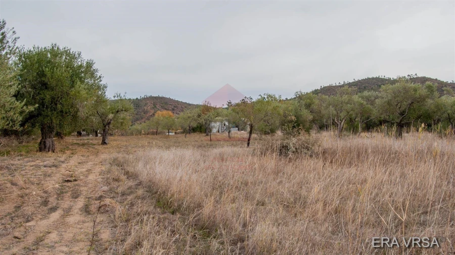 Terreno Agricola ou Rústico para Venda em Alcoutim e Pereiro Foto 5