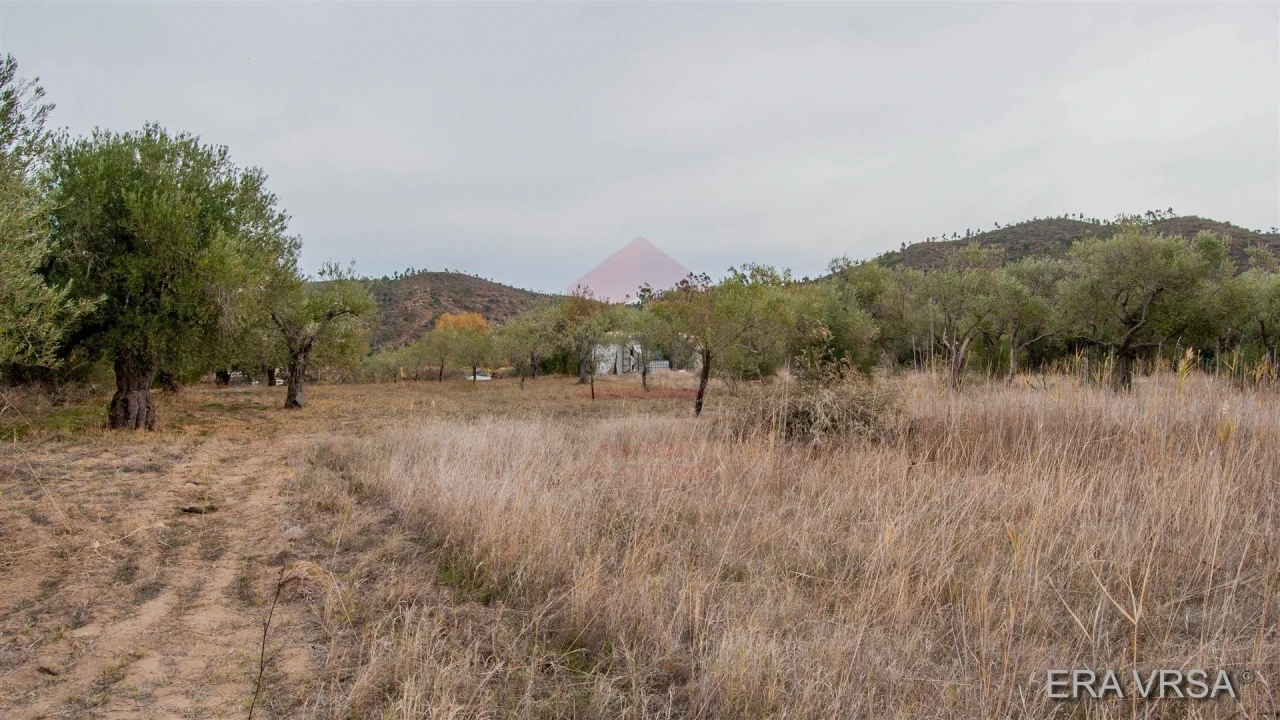 Terreno Agricola ou Rústico para Venda em Alcoutim e Pereiro Foto 5