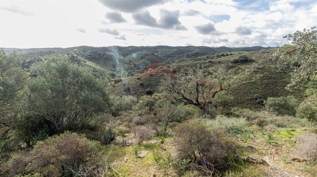 Terreno Agricola ou Rústico para Venda em Alcoutim e Pereiro Foto 6