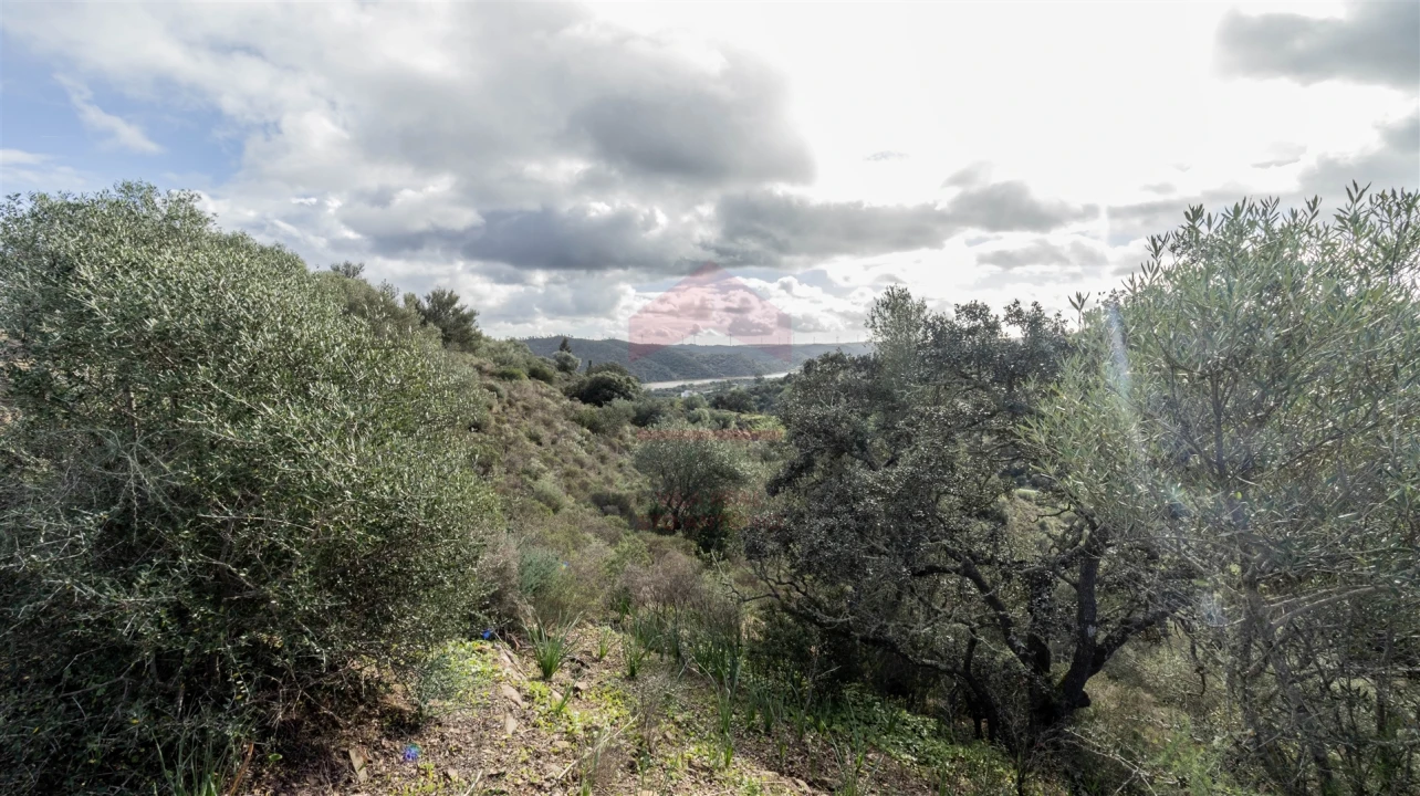 Terreno Agricola ou Rústico para Venda em Alcoutim e Pereiro Foto 1