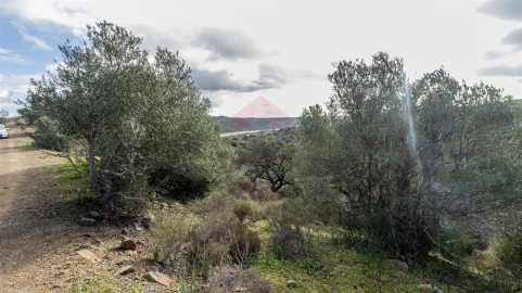 Terreno Agricola ou Rústico para Venda em Alcoutim e Pereiro
