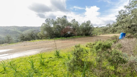 Terreno Agricola ou Rústico para Venda em Alcoutim e Pereiro