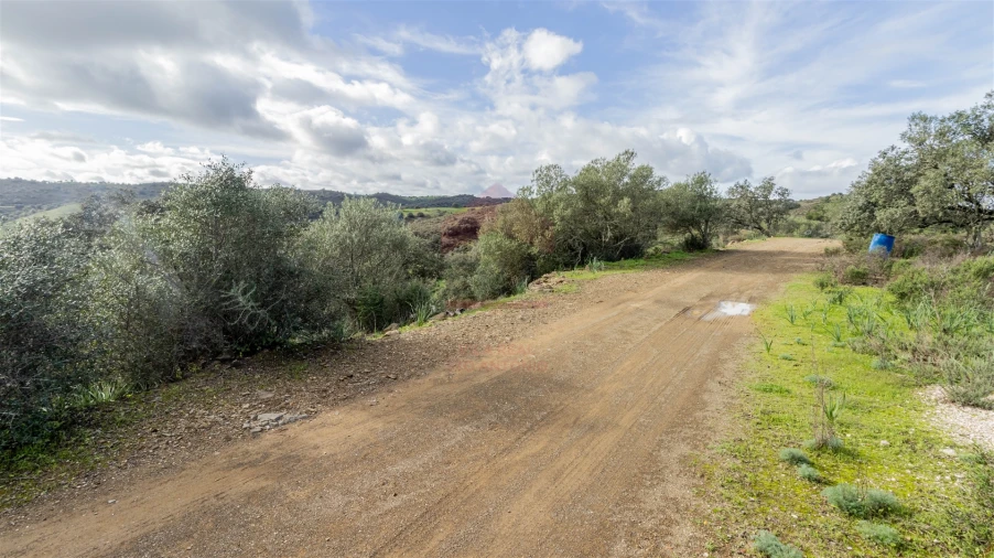 Terreno Agricola ou Rústico para Venda em Alcoutim e Pereiro Foto 3