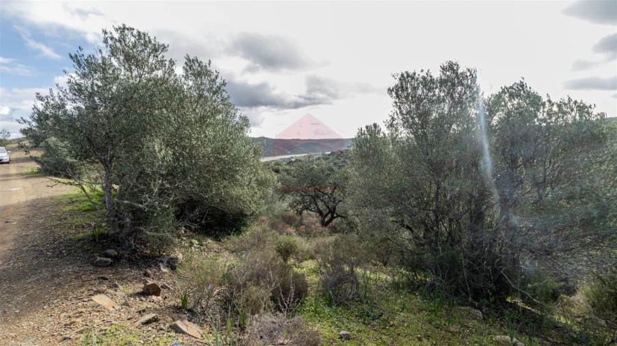 Terreno Agricola ou Rústico para Venda em Alcoutim e Pereiro Foto 5