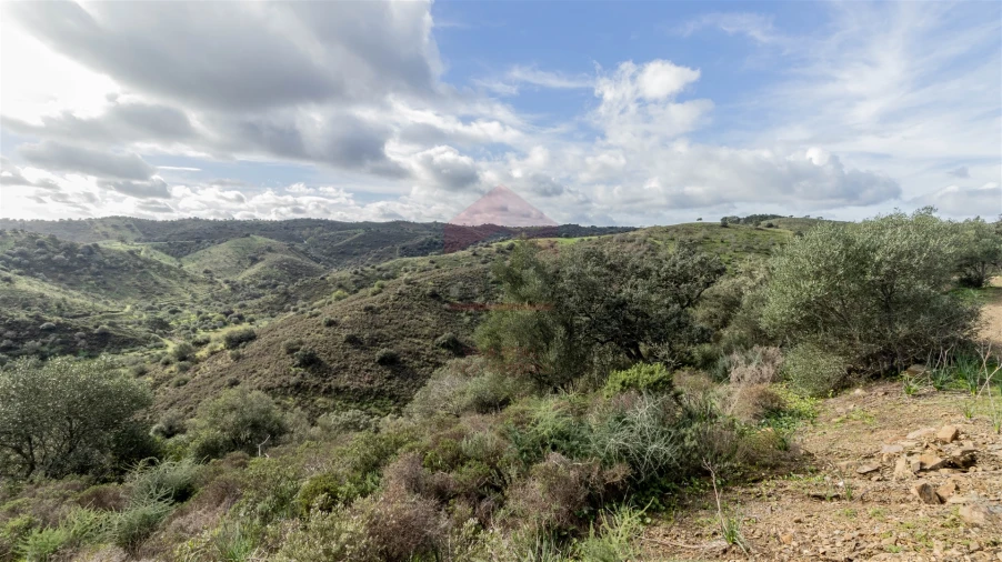 Terreno Agricola ou Rústico para Venda em Alcoutim e Pereiro Foto 2