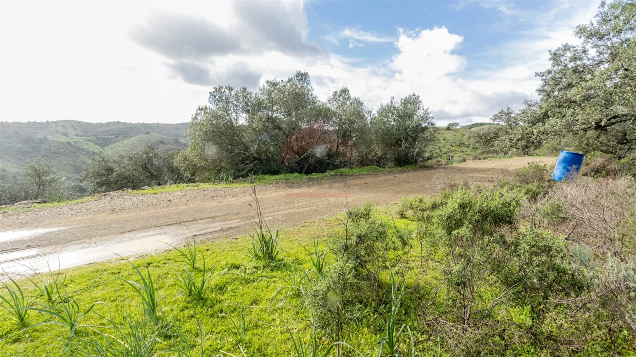 Terreno Agricola ou Rústico para Venda em Alcoutim e Pereiro Foto 4