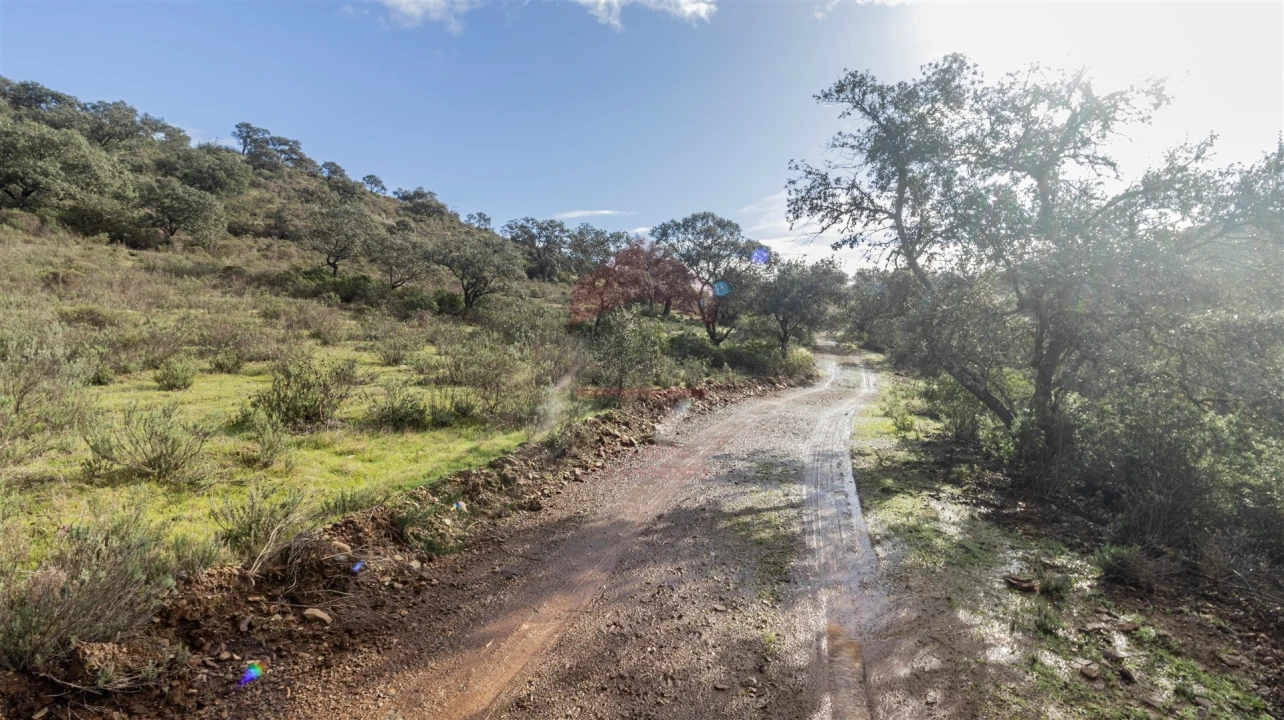 Terreno Agricola ou Rústico para Venda em Alcoutim e Pereiro Foto 5
