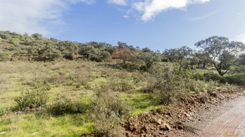 Terreno Agricola ou Rústico para Venda em Alcoutim e Pereiro