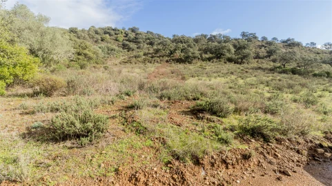 Terreno Agricola ou Rústico para Venda em Alcoutim e Pereiro