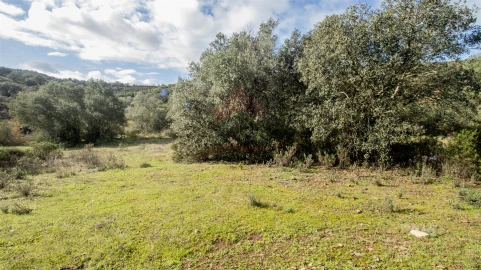 Terreno Agricola ou Rústico para Venda em Alcoutim e Pereiro