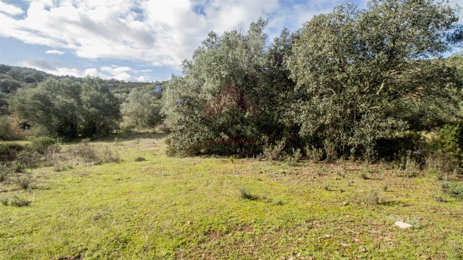 Terreno Agricola ou Rústico para Venda em Alcoutim e Pereiro Foto 2