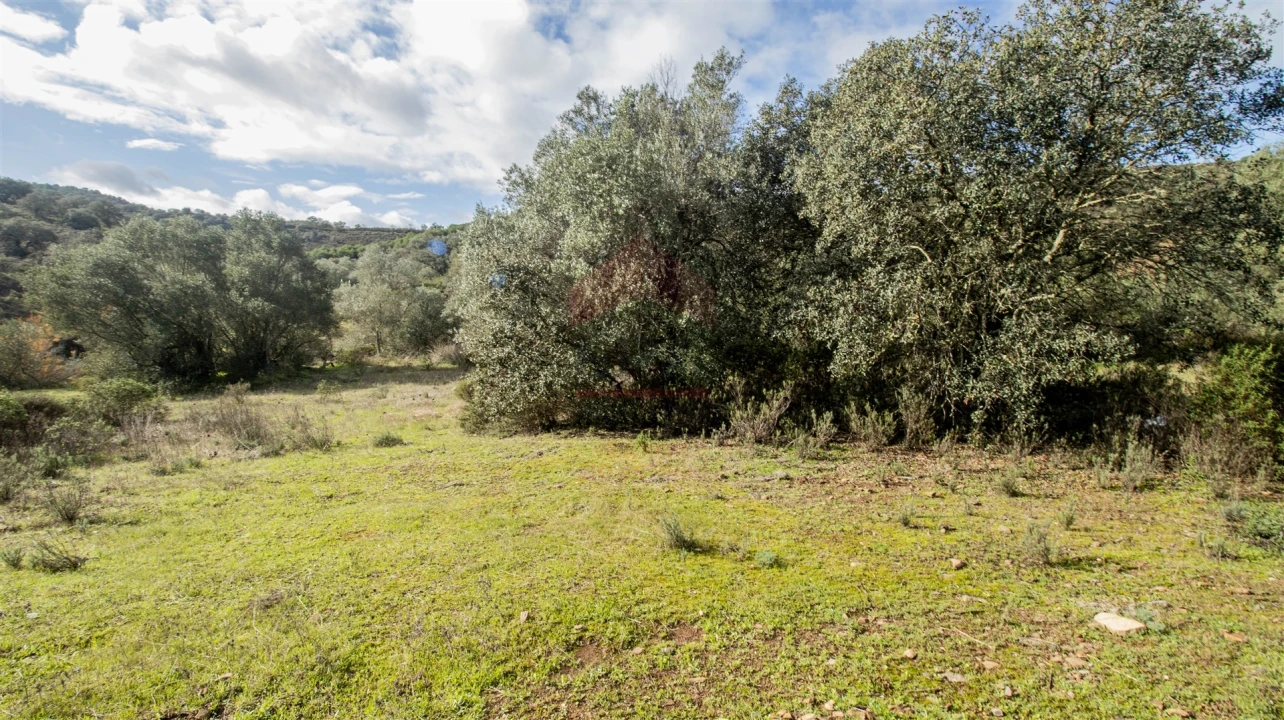 Terreno Agricola ou Rústico para Venda em Alcoutim e Pereiro Foto 2