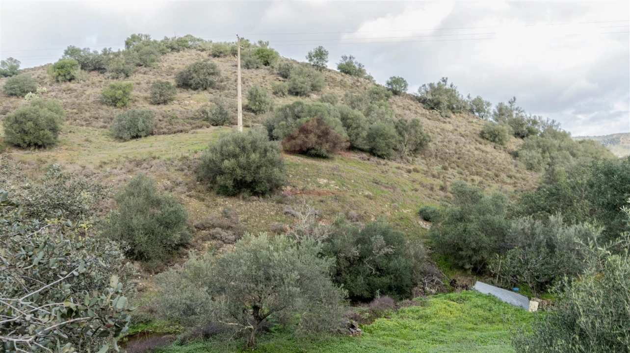 Terreno Agricola ou Rústico para Venda em Alcoutim e Pereiro Foto 3