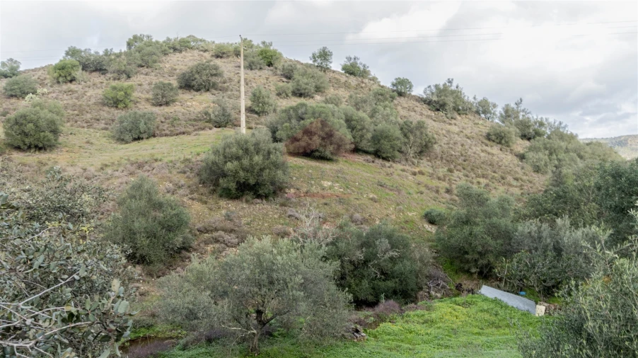 Terreno Agricola ou Rústico para Venda em Alcoutim e Pereiro Foto 3