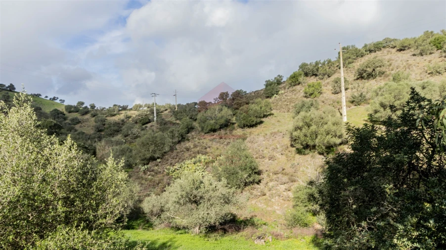 Terreno Agricola ou Rústico para Venda em Alcoutim e Pereiro Foto 2
