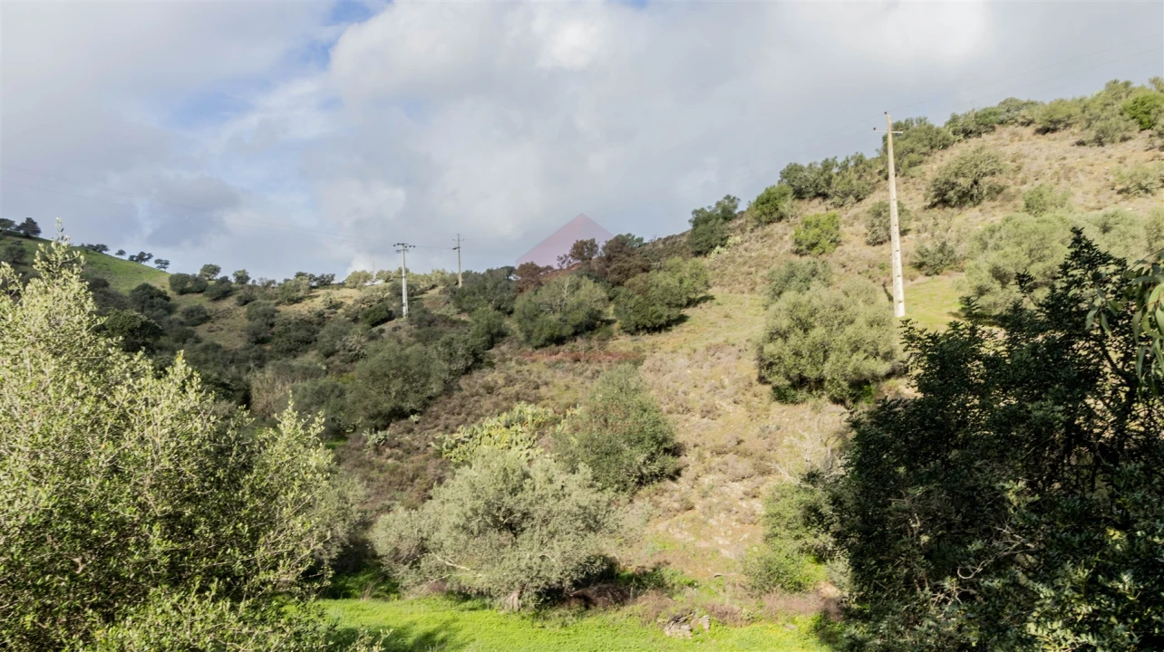 Terreno Agricola ou Rústico para Venda em Alcoutim e Pereiro Foto 2