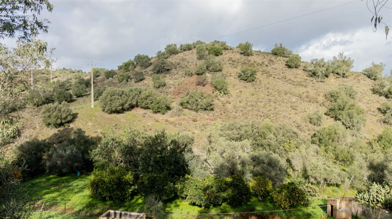 Terreno Agricola ou Rústico para Venda em Alcoutim e Pereiro Foto 1