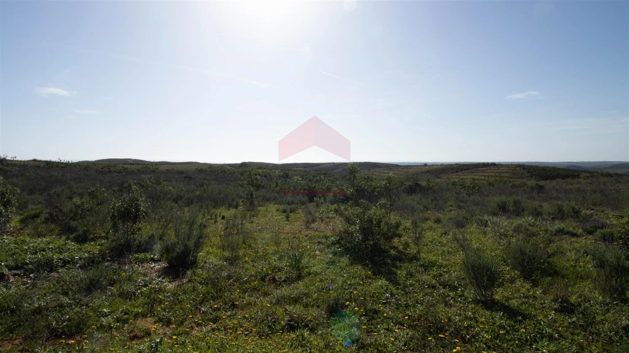 Terreno Agricola ou Rústico para Venda em Tavira (Santa Maria e Santiago) Foto 4