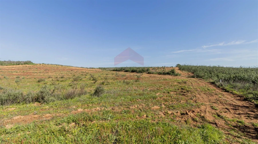 Terreno Agricola ou Rústico para Venda em Tavira (Santa Maria e Santiago) Foto 1