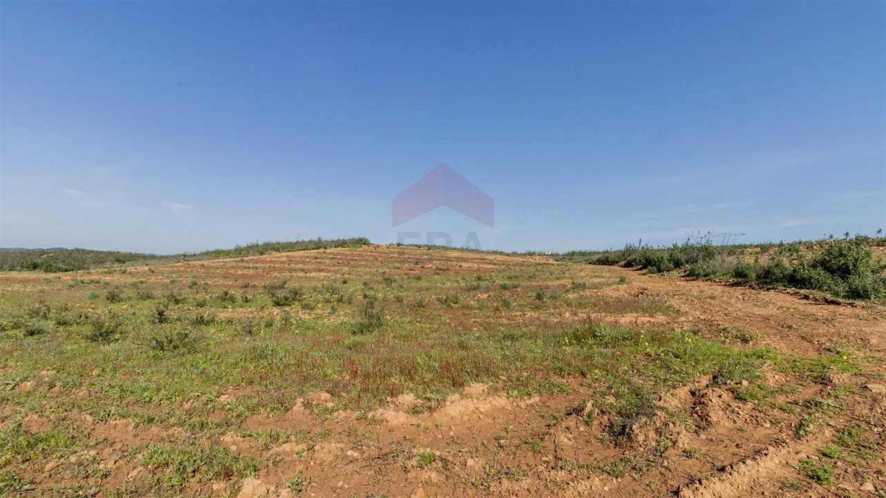 Terreno Agricola ou Rústico para Venda em Tavira (Santa Maria e Santiago) Foto 6