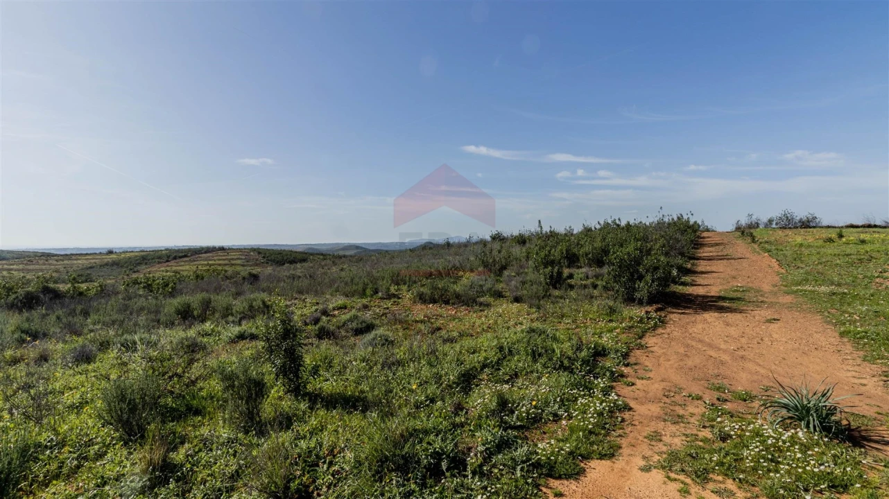 Terreno Agricola ou Rústico para Venda em Tavira (Santa Maria e Santiago) Foto 2