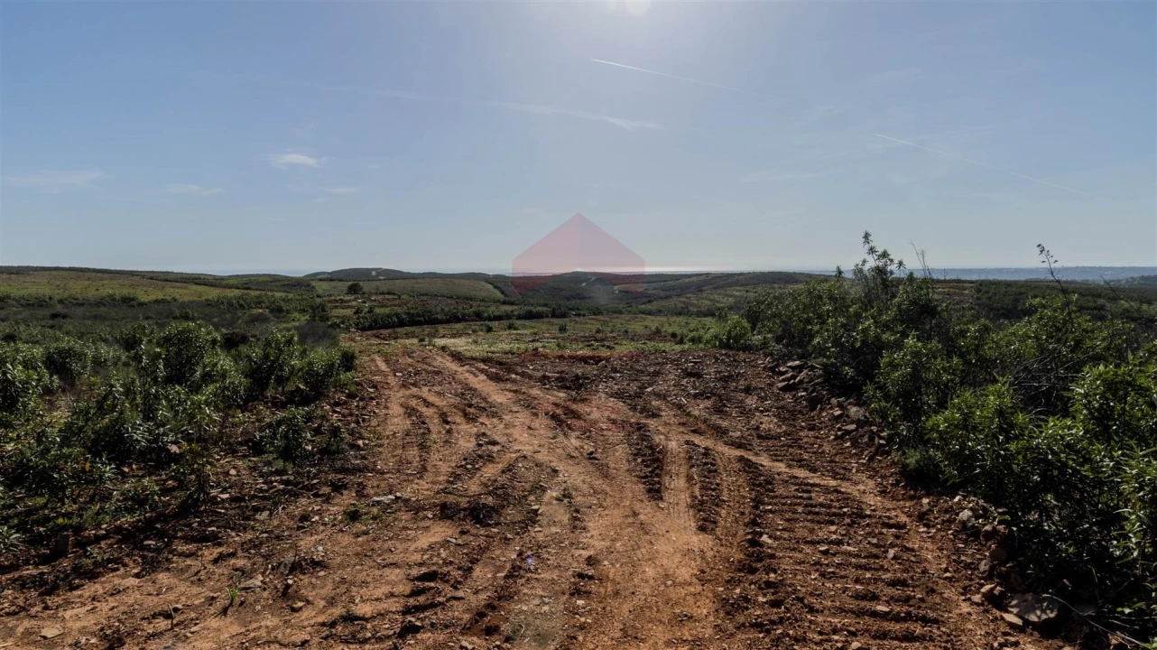 Terreno Agricola ou Rústico para Venda em Tavira (Santa Maria e Santiago) Foto 5