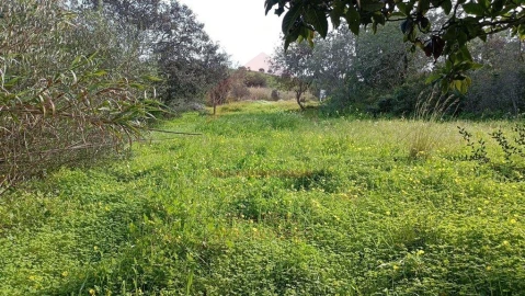 Terreno Agricola ou Rústico para Venda em Castro Marim
