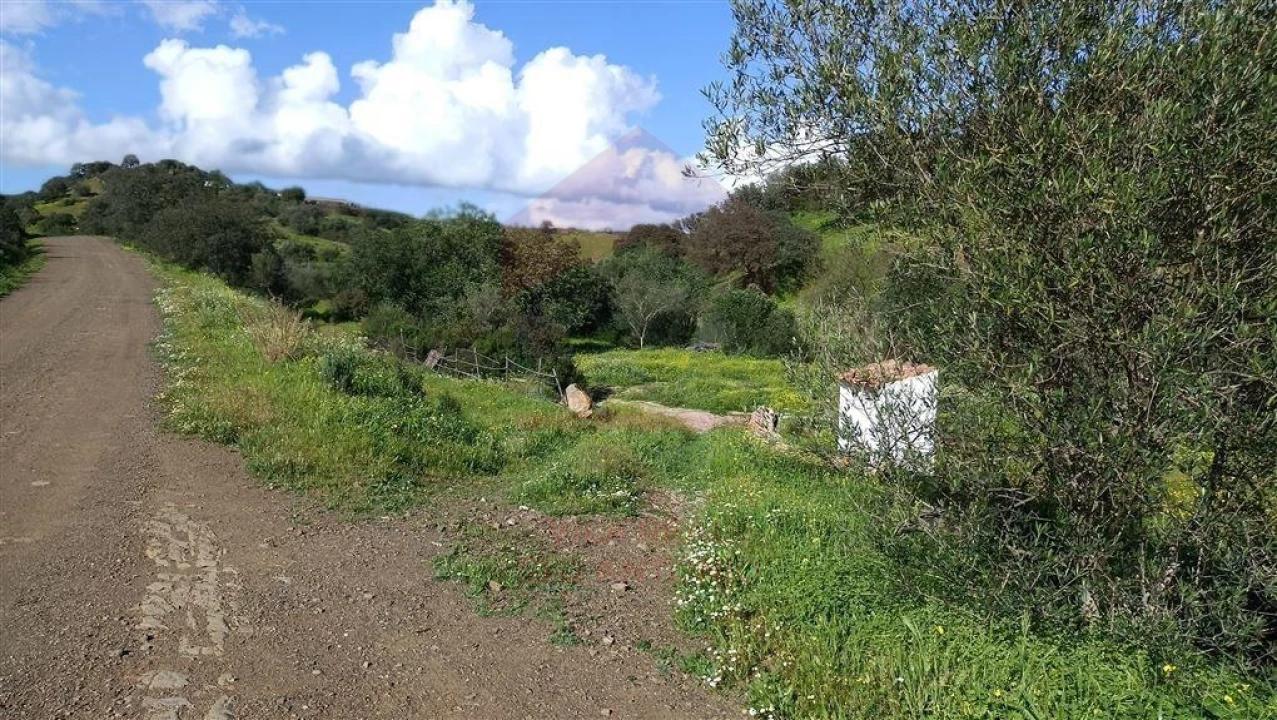 Terreno Agricola ou Rústico para Venda em Castro Marim Foto 2