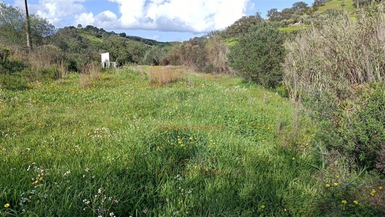 Terreno Agricola ou Rústico para Venda em Castro Marim Foto 3