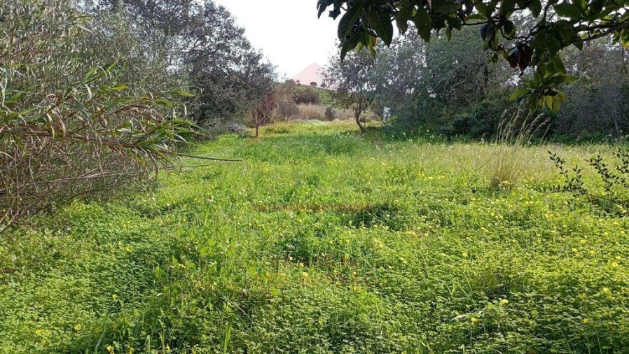 Terreno Agricola ou Rústico para Venda em Castro Marim Foto 5
