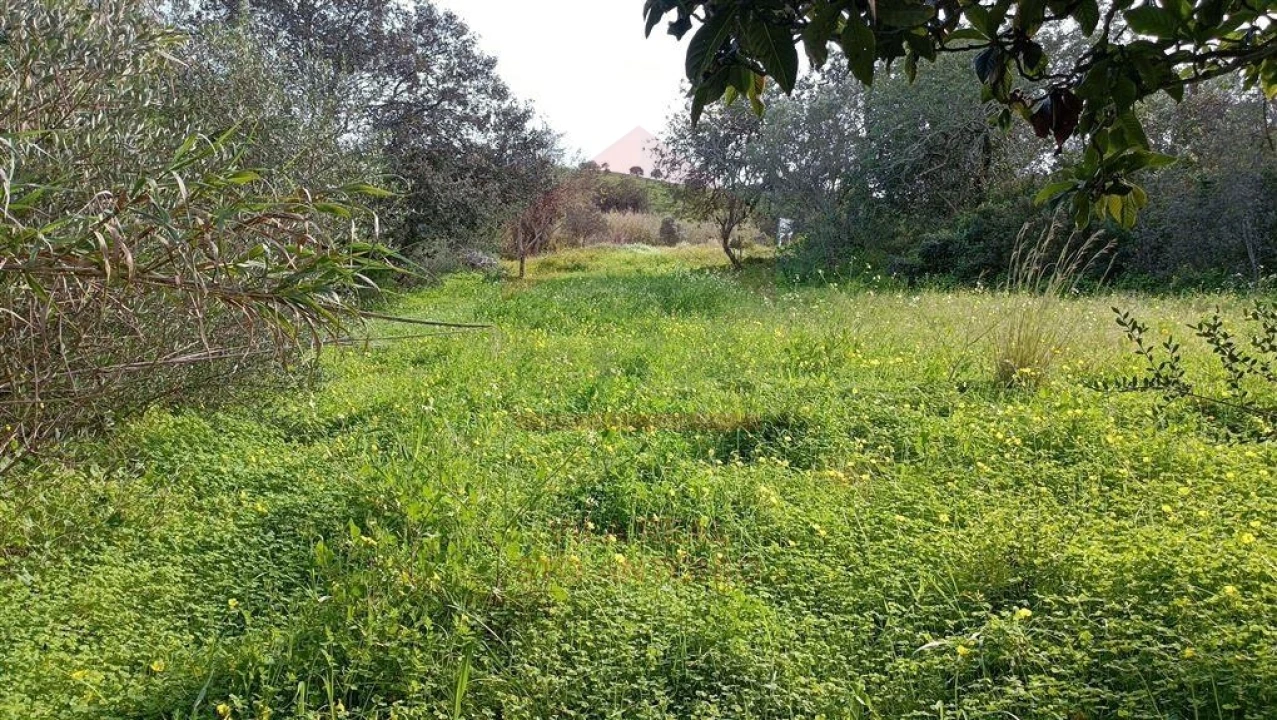 Terreno Agricola ou Rústico para Venda em Castro Marim Foto 5