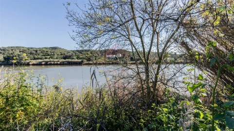 Terreno Agricola ou Rústico para Venda em Alcoutim e Pereiro