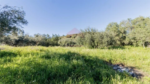 Terreno Agricola ou Rústico para Venda em Alcoutim e Pereiro