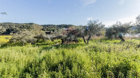 Terreno Agricola ou Rústico para Venda em Alcoutim e Pereiro