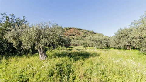 Terreno Agricola ou Rústico para Venda em Alcoutim e Pereiro