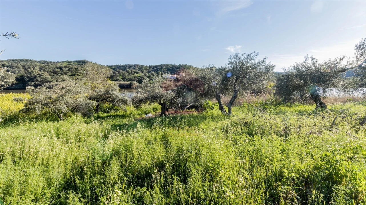 Terreno Agricola ou Rústico para Venda em Alcoutim e Pereiro Foto 2