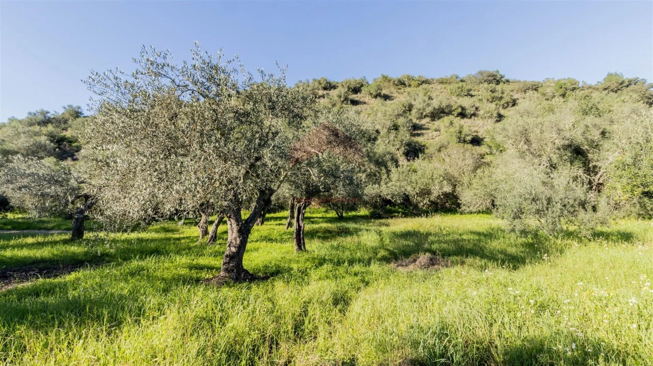 Terreno Agricola ou Rústico para Venda em Alcoutim e Pereiro Foto 9