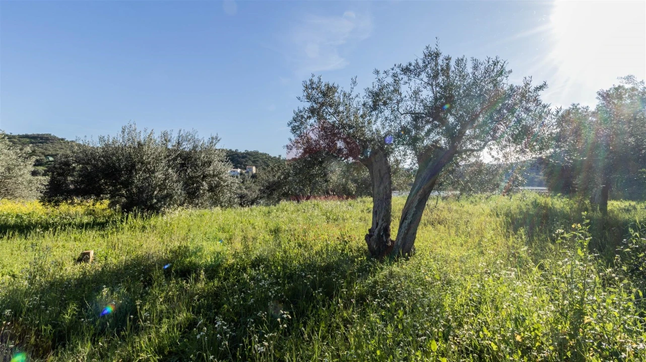 Terreno Agricola ou Rústico para Venda em Alcoutim e Pereiro Foto 7
