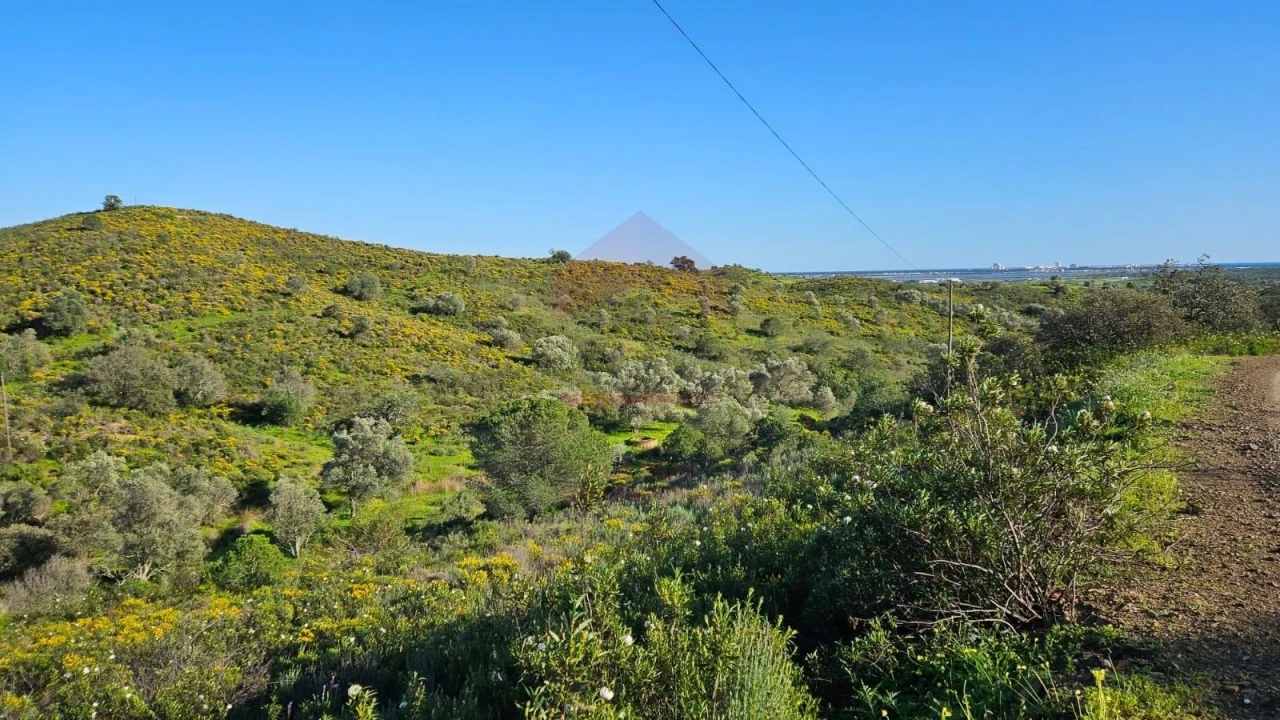 Terreno Agricola ou Rústico para Venda em Castro Marim Foto 9