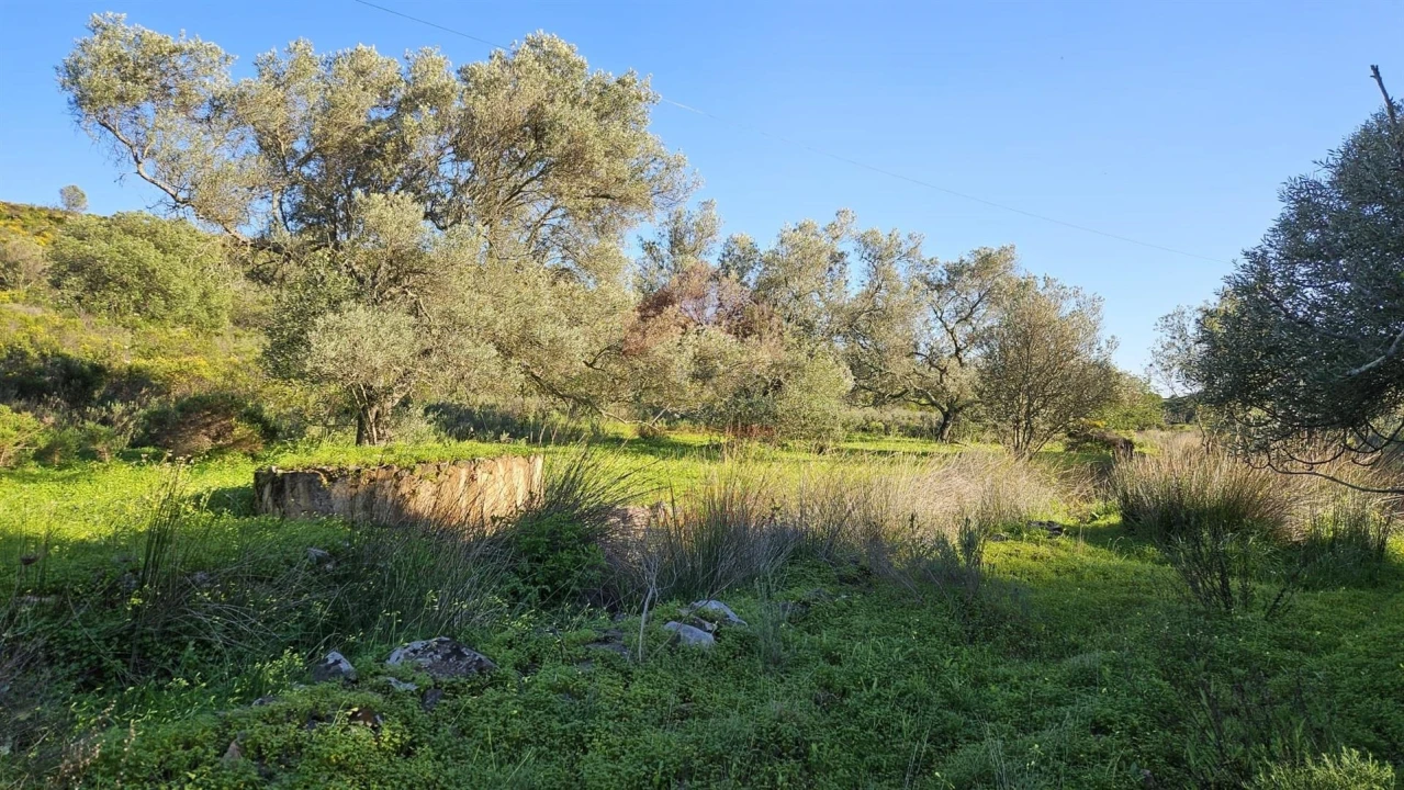 Terreno Agricola ou Rústico para Venda em Castro Marim Foto 11