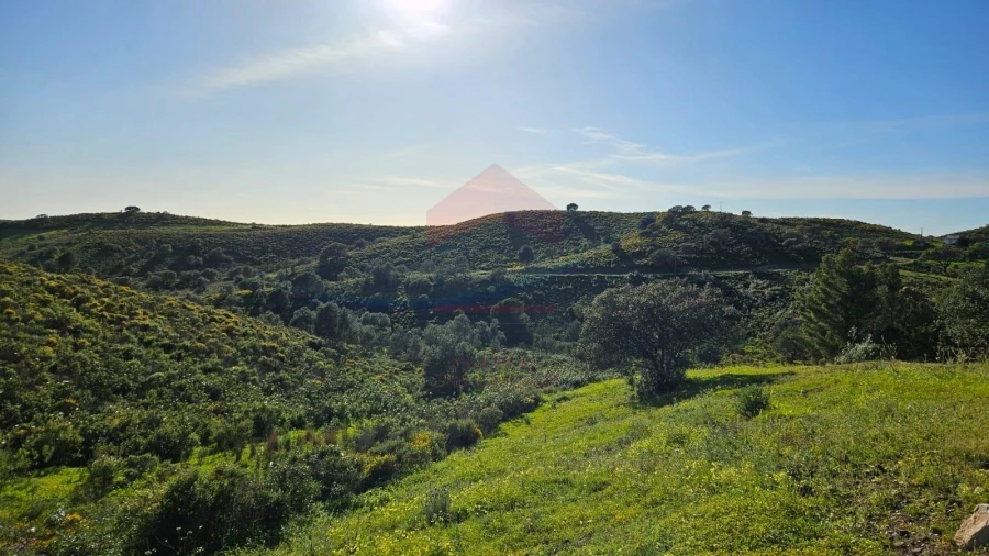 Terreno Agricola ou Rústico para Venda em Castro Marim Foto 12