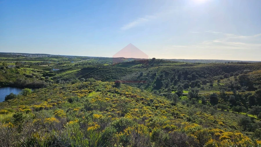 Terreno Agricola ou Rústico para Venda em Castro Marim Foto 16