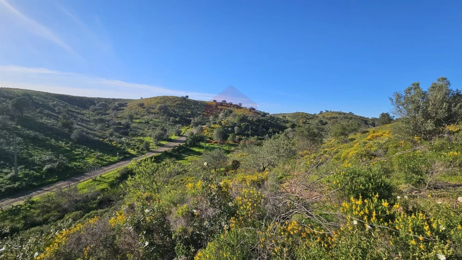 Terreno Agricola ou Rústico para Venda em Castro Marim Foto 17